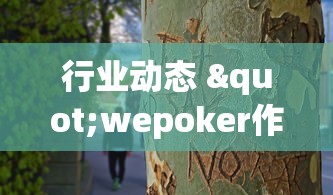 行业动态 "wepoker作弊是真的假的(确实真的有挂)-知乎