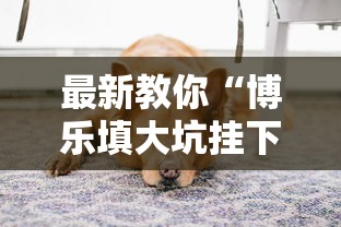 最新教你“博乐填大坑挂下载”详细开挂安装教程